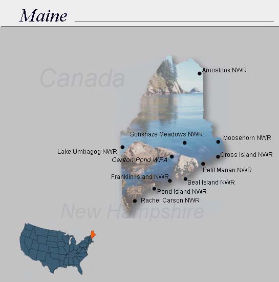 maine unemployment eligibility